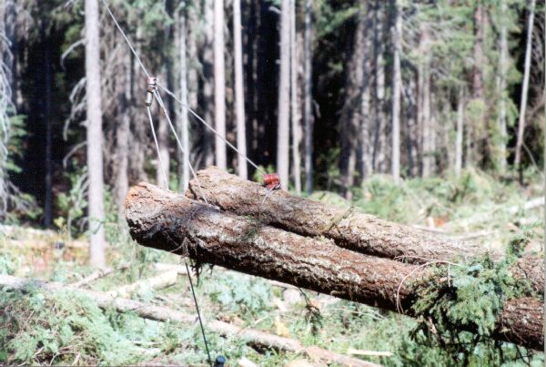 Rcc004 set around some logs...