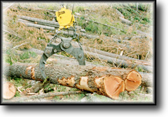 Y106 Yarding Grapple with SPC102G Carriage