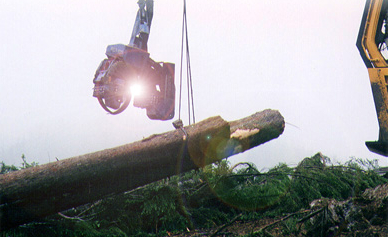 RCC bells in action; hanging timber in front of processor head.